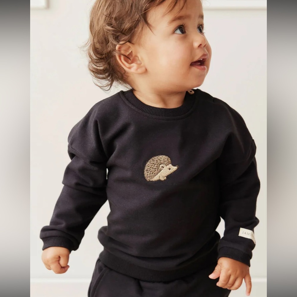Organic Cotton Damien Sweatshirt - Constellation Hedgehog by Jamie Kay